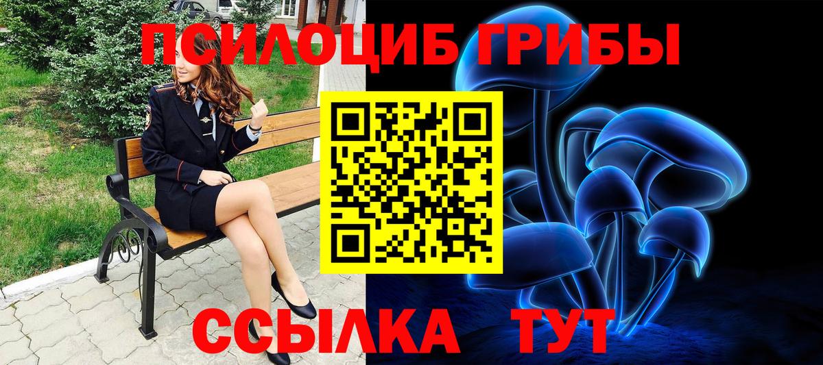 Галлюциногенные грибы GOLDEN TEACHER  Вход с VPN  Нальчик  Псилоцибиновые грибы GOLDEN TEACHER 