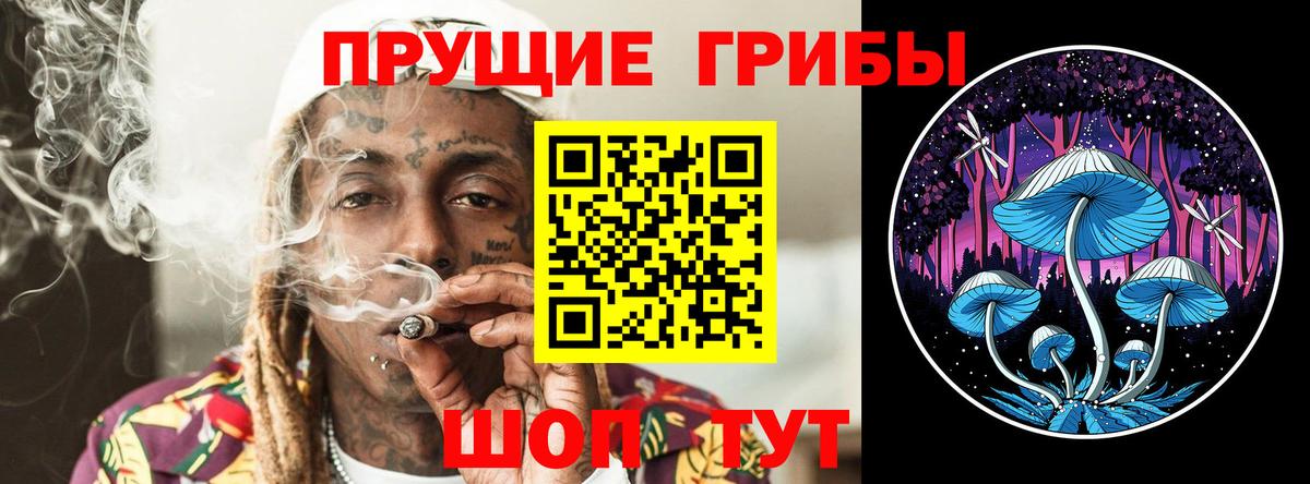 Псилоцибиновые грибы GOLDEN TEACHER Нальчик